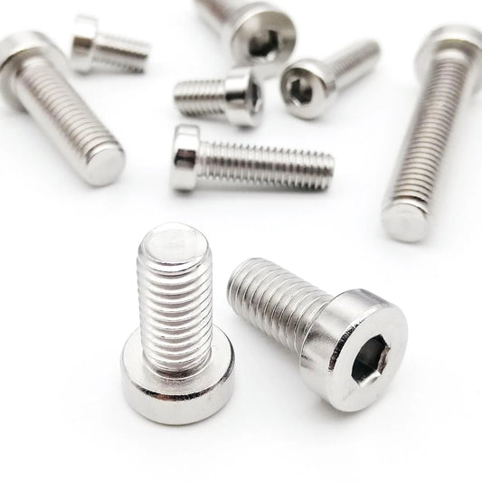 304_Stainless_Steel_Hex_Socket_Low_Profile_Head_Screw_Side_Angle