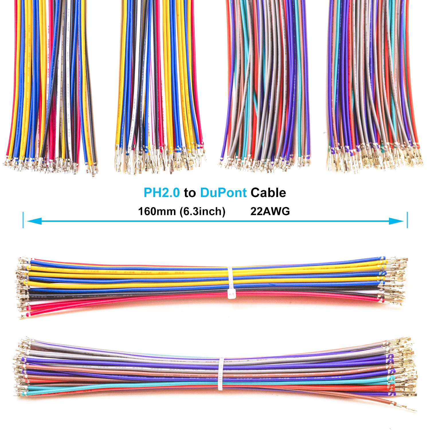 Connector_Housing_and_Terminal_Close-Up
