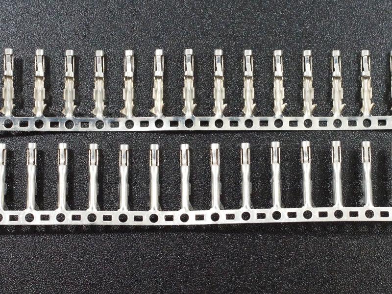 Dupont-Female-Terminals-Closeup