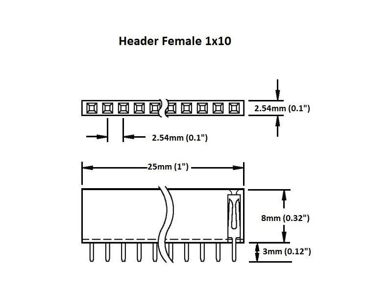 Header-Female-1x10-Details