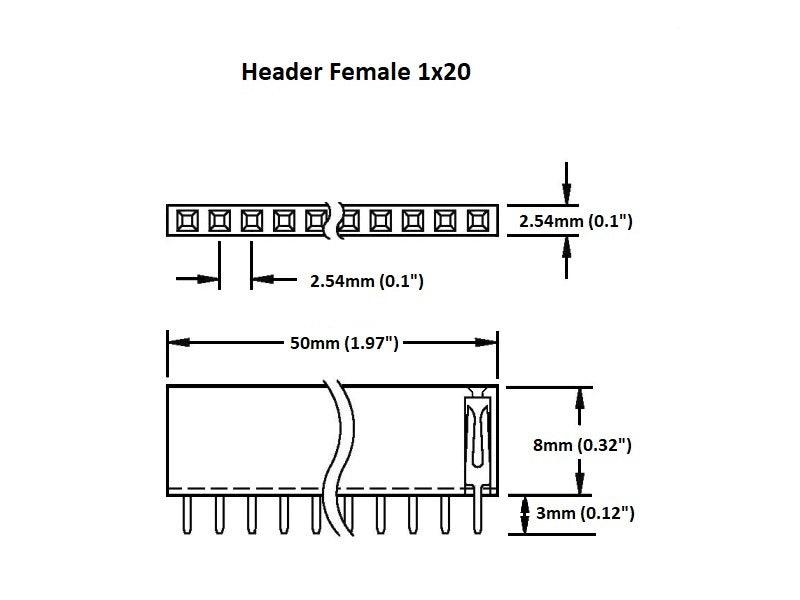 Header-Female-1x20-Details