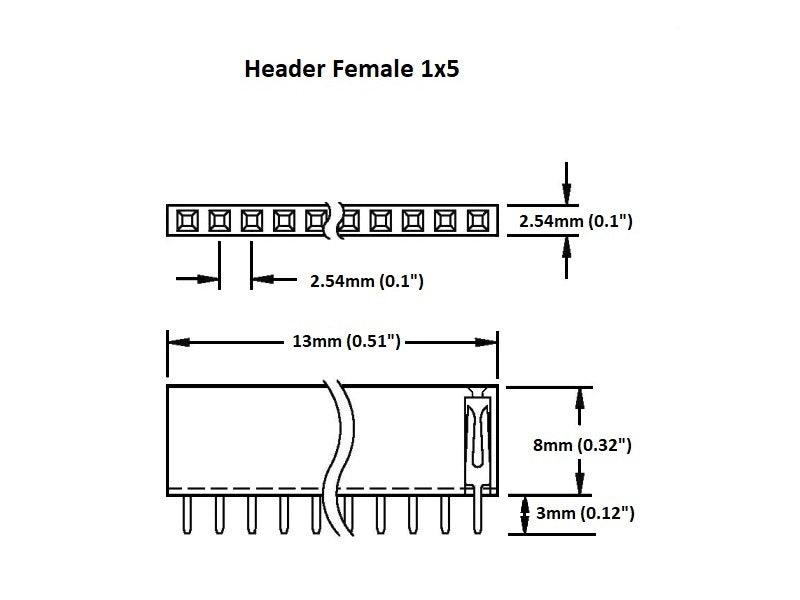 Header-Female-1x5-Details