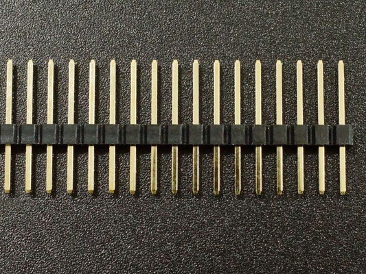 Header-Male-1x40-Breakaway-Extended-Tail-Flash-Gold-Detail