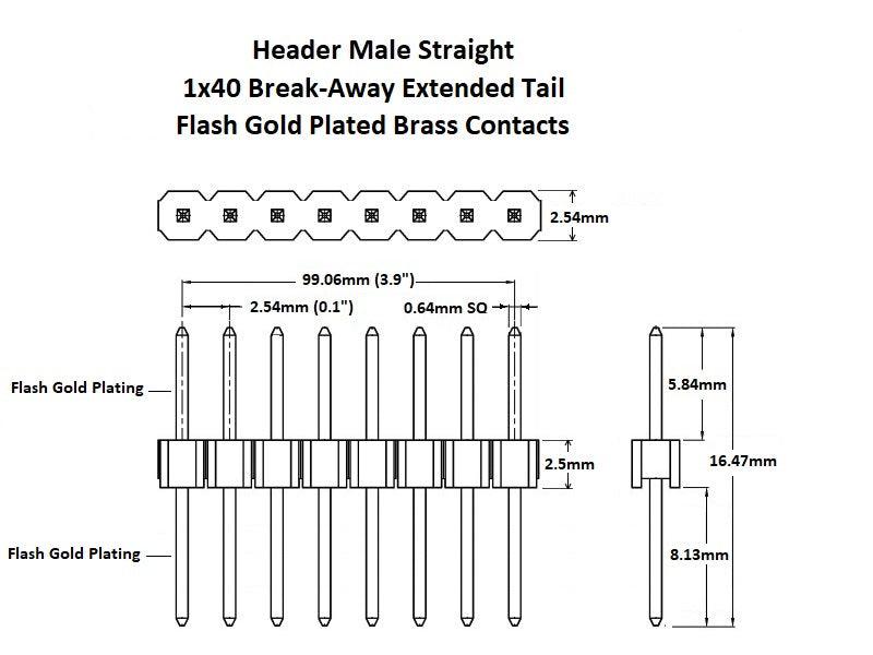 Header-Male-Straight-1x40-Extended-Tail-Flash-Gold-Details