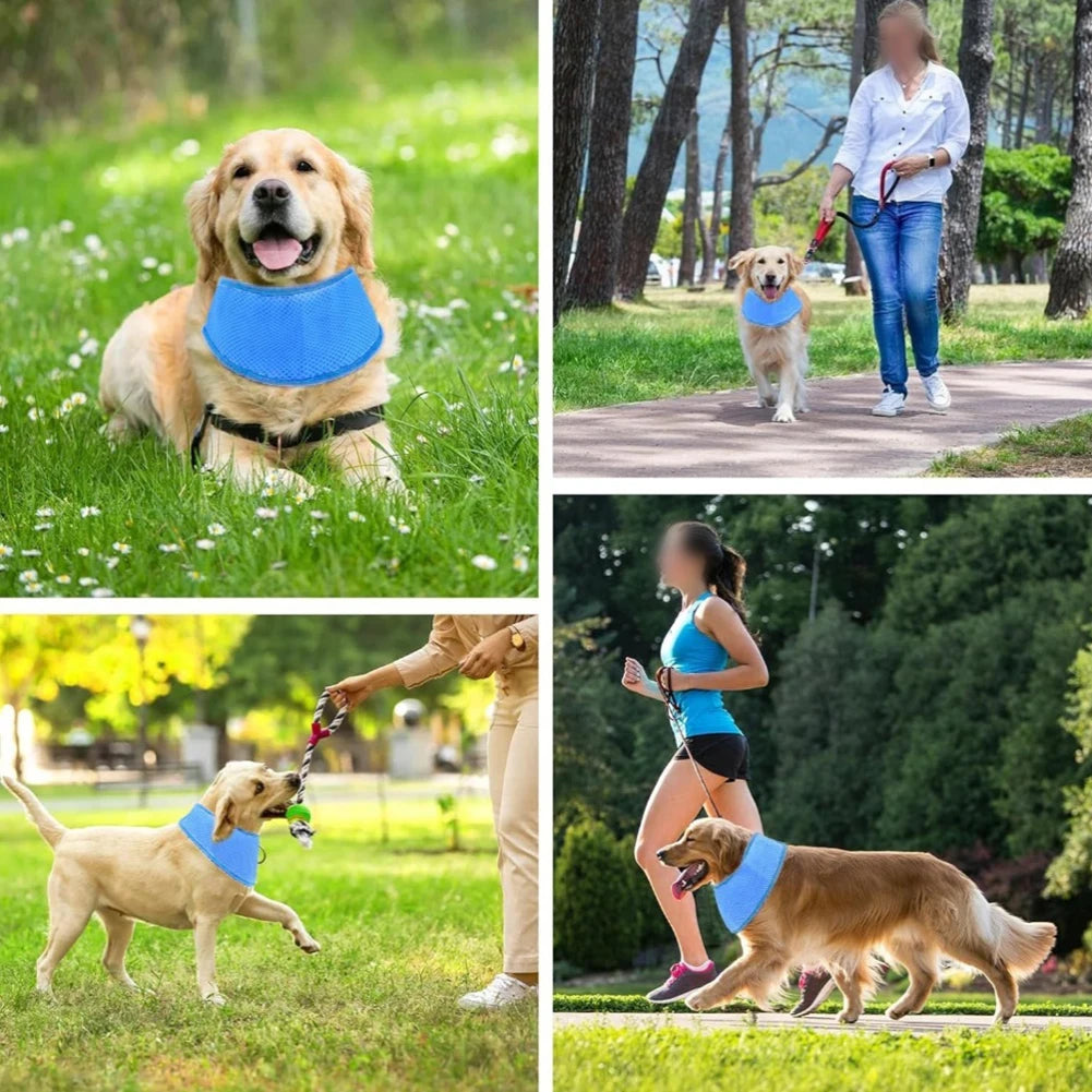 YAFEX Cooling Pet Collar: Breathable And Easy-to-Use Scarf For Cats And Dogs! 2025 Hot Sale Brand. New And High Quality