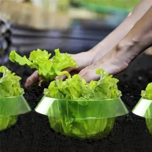 Plastic garden cloche protection cover for vegetable and plant pest control