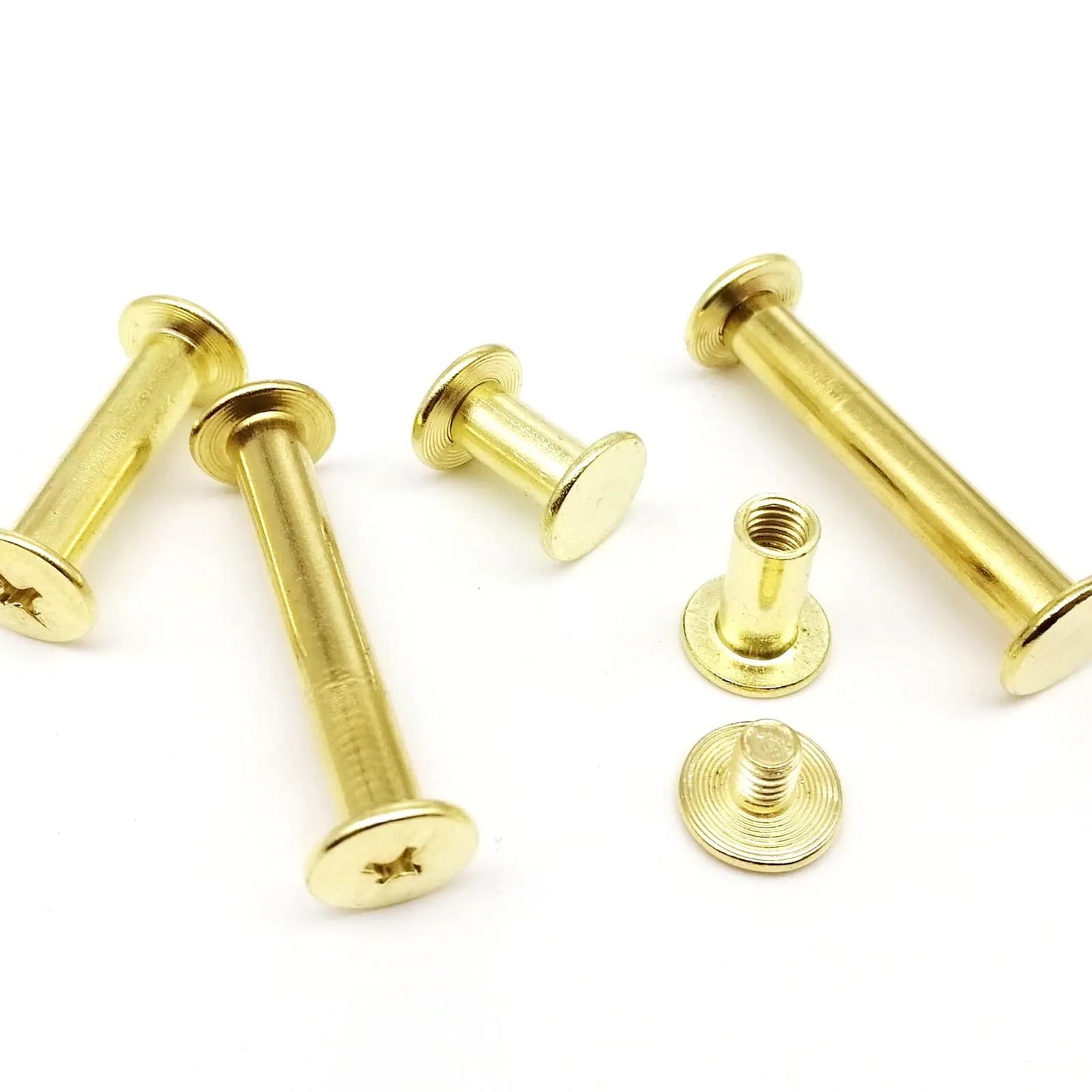 golden-silver-chicago-screw-bolt