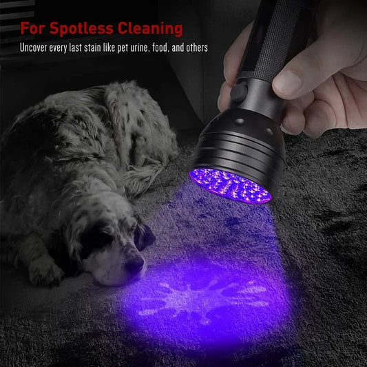 UV black light torch for stain and urine detection