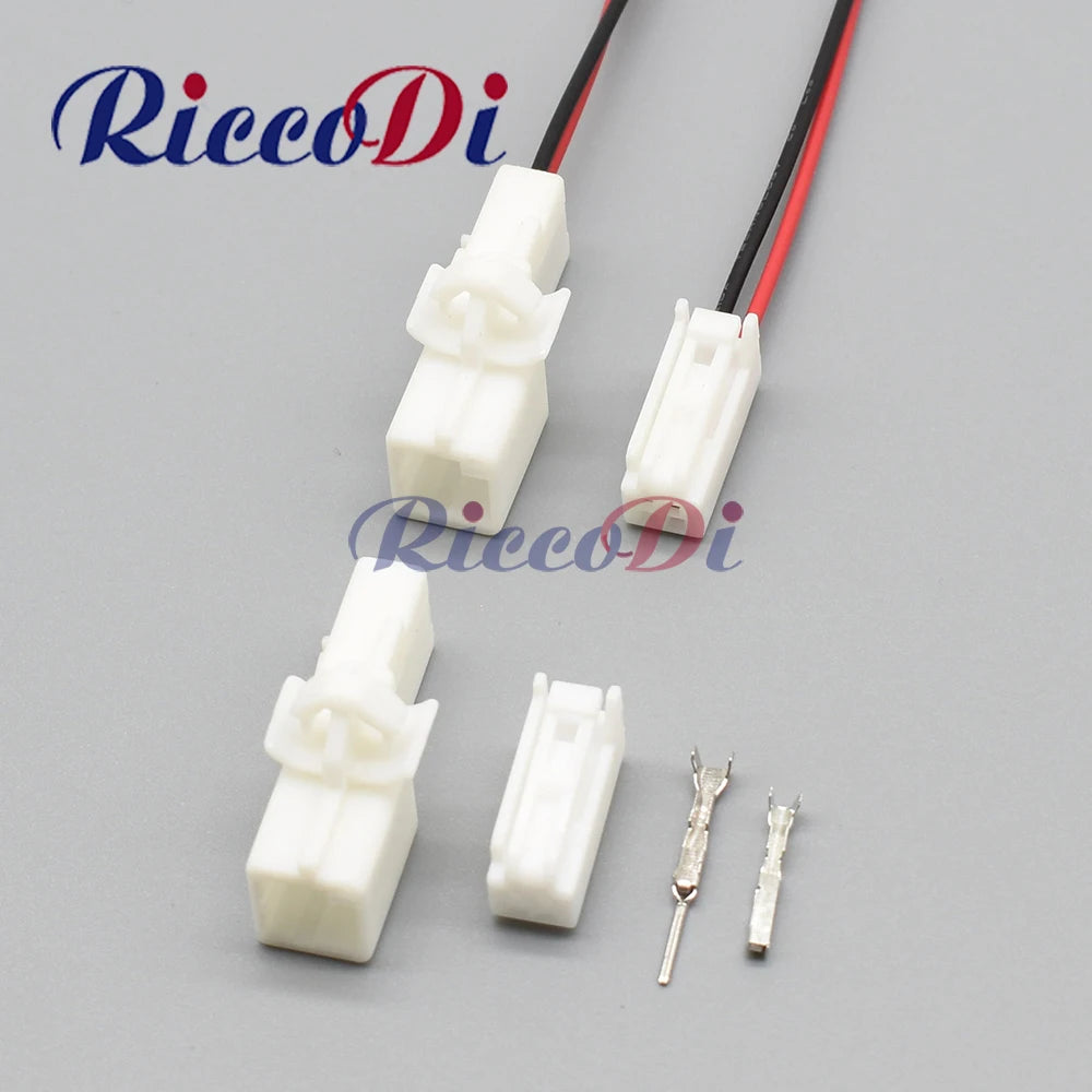 Front view of 2 pin automotive reader coil and light socket connector plug for Toyota