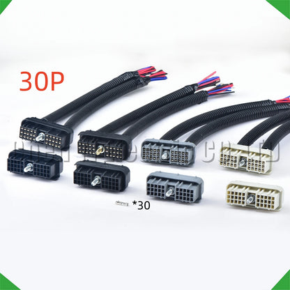 30 pin auto ECU ECM connector socket for oil drilling machinery wire harness