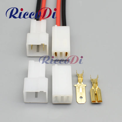 Overview of 2 pin 6.3mm automotive connector DJ7022-7.8-11/21 with terminal for car wire harness