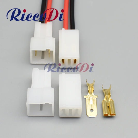 Overview of 2 pin 6.3mm automotive connector DJ7022-7.8-11/21 with terminal for car wire harness