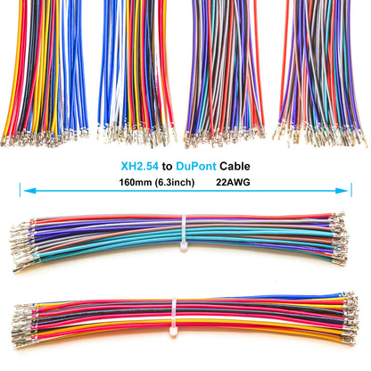 Dupont_2.54_Male_and_Female_Connector_Detailed_View