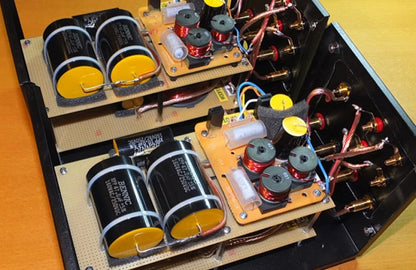 100V Horizontal Superior Electrolytic Audio Capacitor for Speaker Frequency Divider