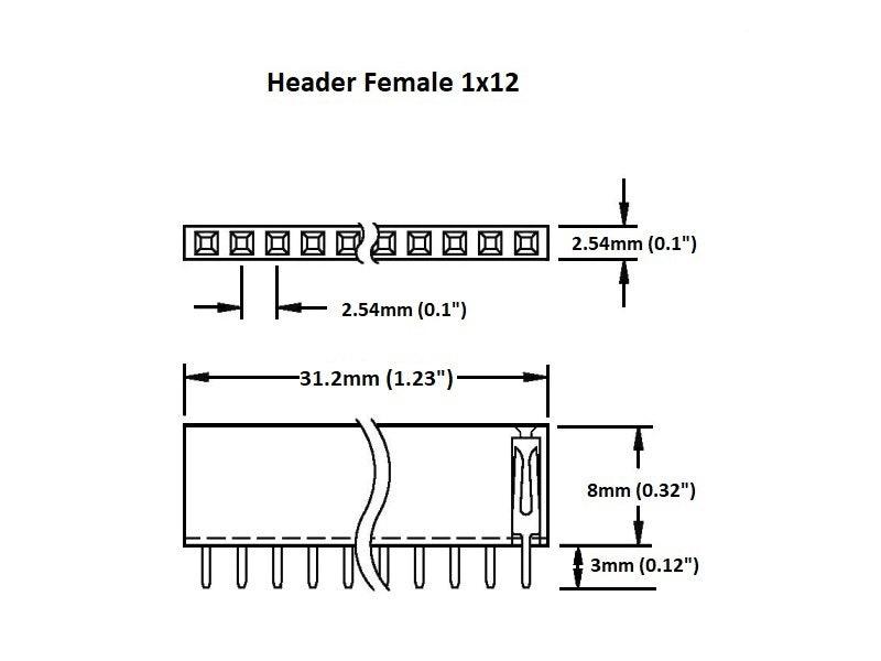 Header Female 1×12 (2-Pack)