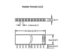 Header Female 1×12 (2-Pack)