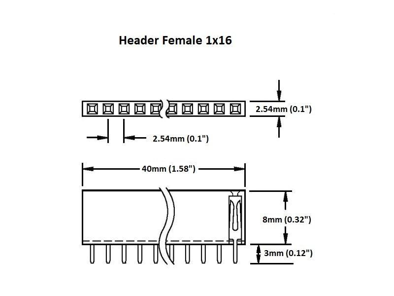 Header Female 1×16 (2-Pack)