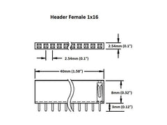 Header Female 1×16 (2-Pack)