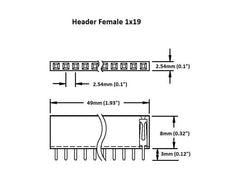 Header Female 1×19 (2-Pack)