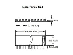 Header Female 1×24 (2-Pack)