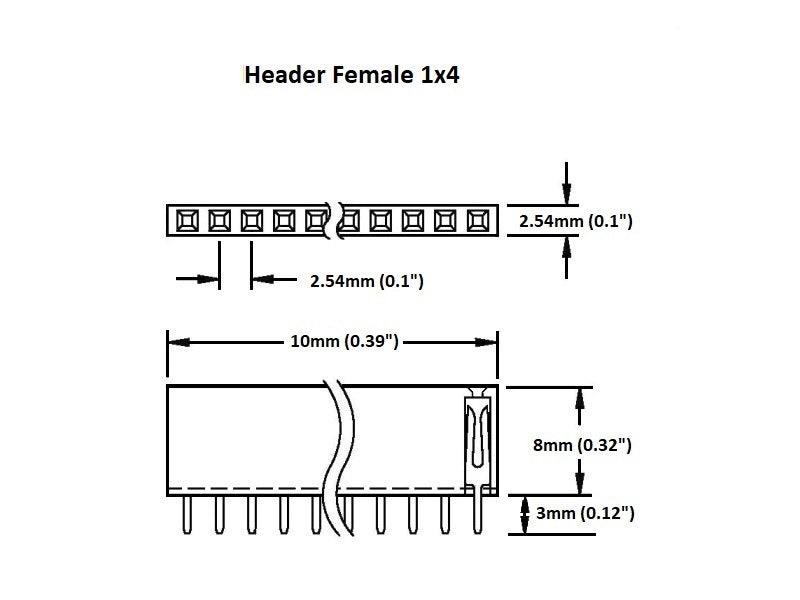 Header Female 1×4 (2-Pack)