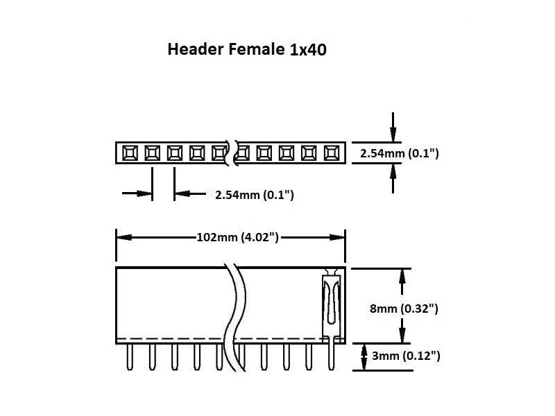 Header Female 1×40 (2-Pack)