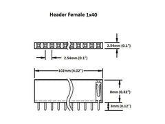 Header Female 1×40 (2-Pack)