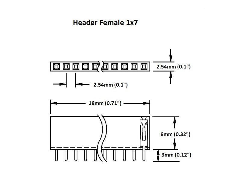 Header Female 1×7 (2-Pack)