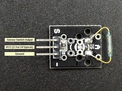 Mini Reed Switch Module