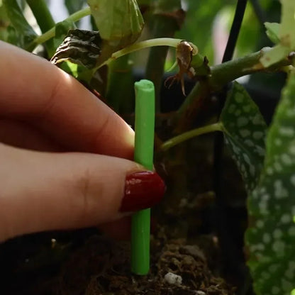 Plant Slow-release Sticks Nutrient Stick Universal Indoor Potted Flower Pot Plants Fertilizer Bars Enhancer Garden Accessories