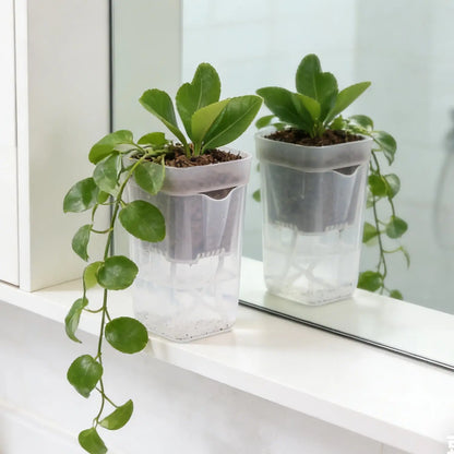 5./1PCS Self Watering Flower Pots Plastic Plant Pot with Drainage Holes Transparent Planting Flower Pot Home Garden Accessories