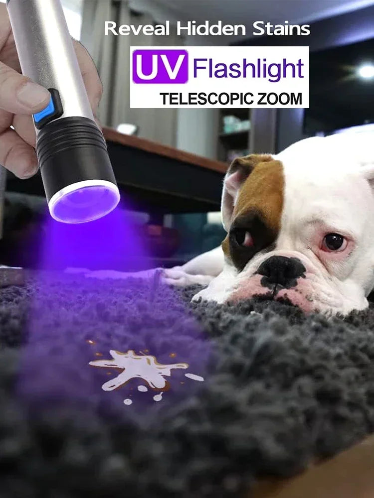 395nm UV Flashlight Blacklight Zoomable USB Rechargeable UV Light