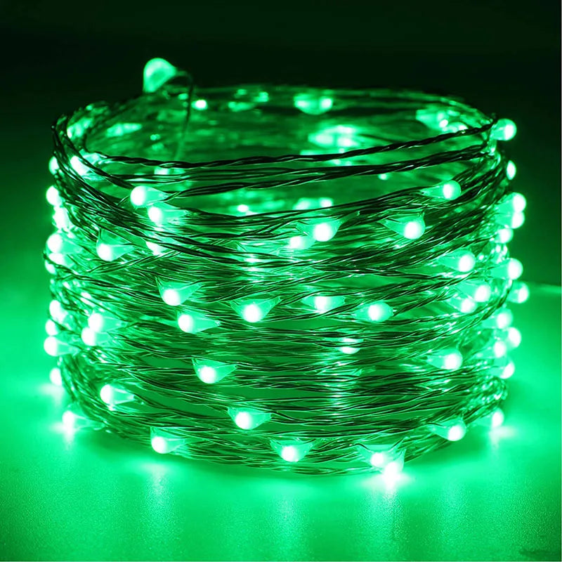 USB Copper Wire LED String Lights Waterproof Fairy Garland 2M/100LED