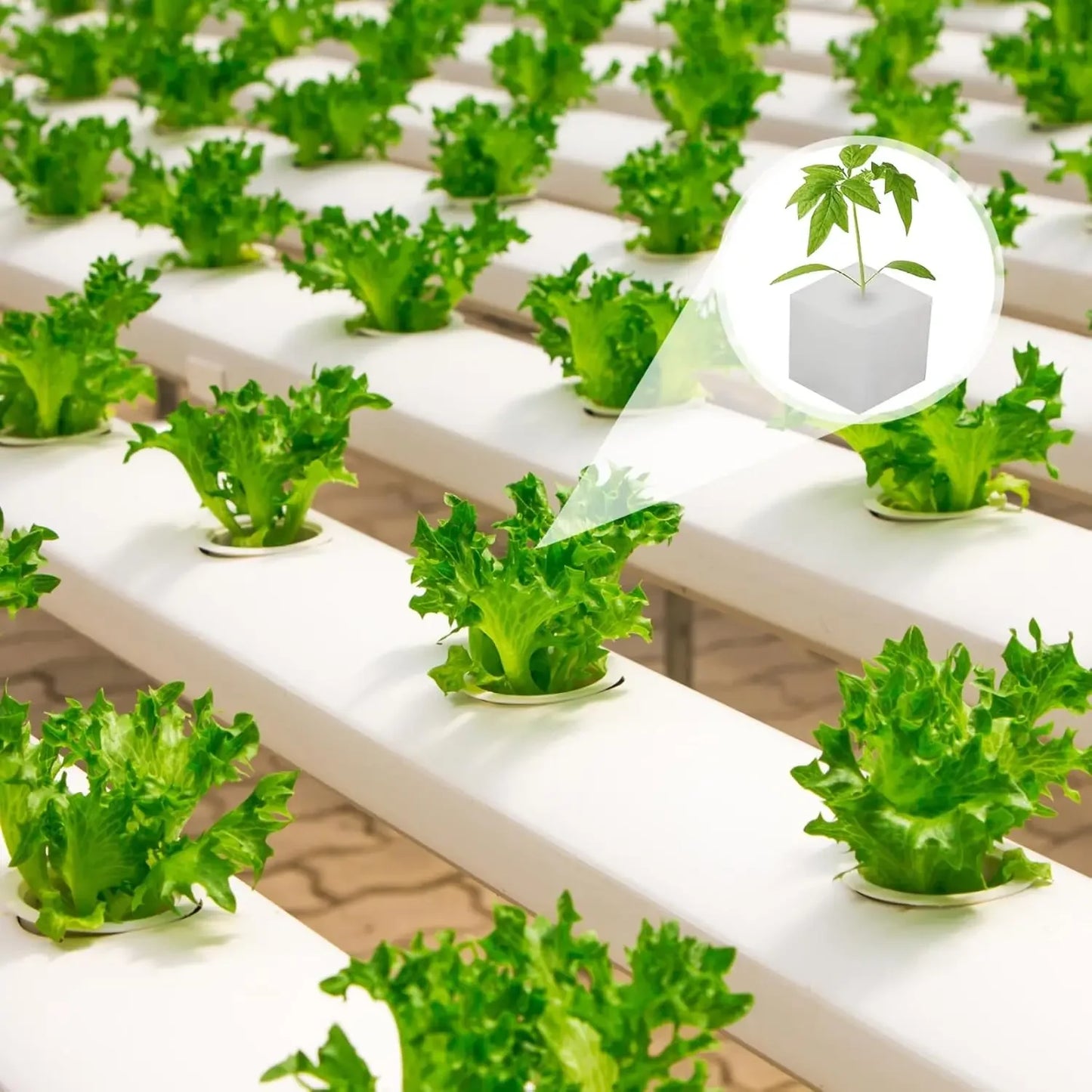 500/100PCS Hydroponic Plant Sponge Garden Cultivation Seedling Soilless Culture Planting Tools Vegetables Nursery Pots Trays