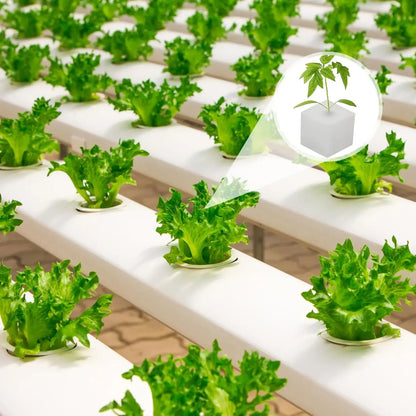 500/100PCS Hydroponic Plant Sponge Garden Cultivation Seedling Soilless Culture Planting Tools Vegetables Nursery Pots Trays