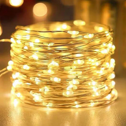 USB Copper Wire LED String Lights Waterproof Fairy Garland 2M/100LED