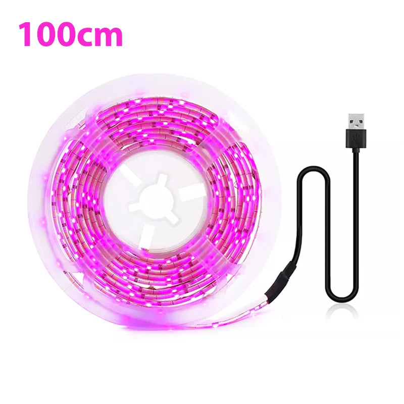 5V USB Led Plant Grow Light Full Spectrum Phyto Lamp 1m 2m 3m Strip For Seeds Flower Greenhouse Tent Hydroponic Plants Lighting