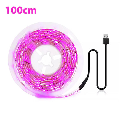 5V USB Led Plant Grow Light Full Spectrum Phyto Lamp 1m 2m 3m Strip For Seeds Flower Greenhouse Tent Hydroponic Plants Lighting