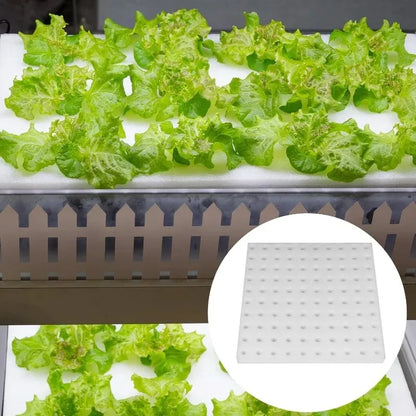 500/100PCS Hydroponic Plant Sponge Garden Cultivation Seedling Soilless Culture Planting Tools Vegetables Nursery Pots Trays