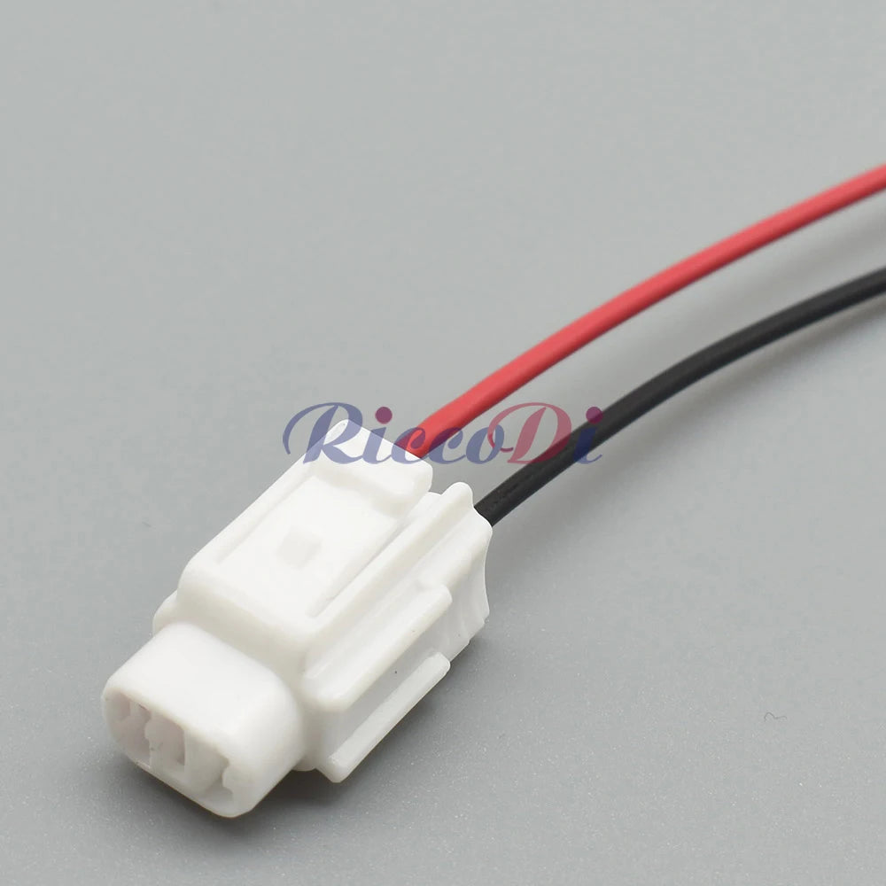 DJ70218Y-2.2-11/21 2-Pin Waterproof Connector for Fog and Taillight Wiring Toyota Reiz BYD F3