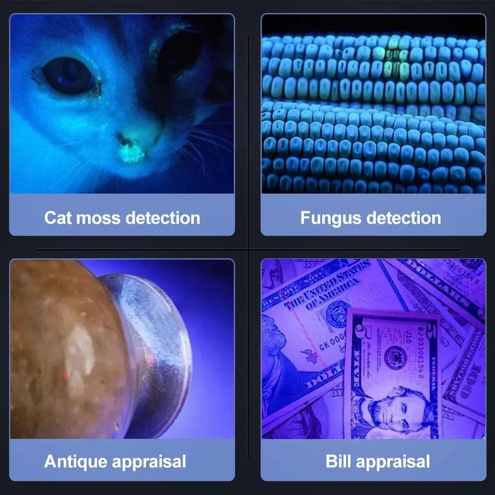 5W 365nm Mini UV Flashlight USB Rechargeable Ultraviolet Torch Pets Urine Cat tinea Money Ore Scorpion Detection Purple Light
