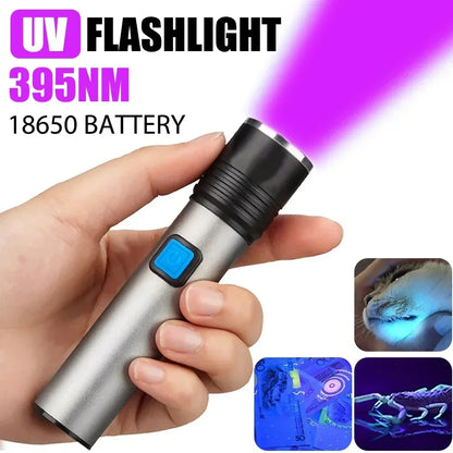 395nm UV Flashlight Rechargeable Blacklight UV Lamp