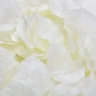 100PCS Artificial Silk Rose Petals for Wedding & Valentine Decoration
