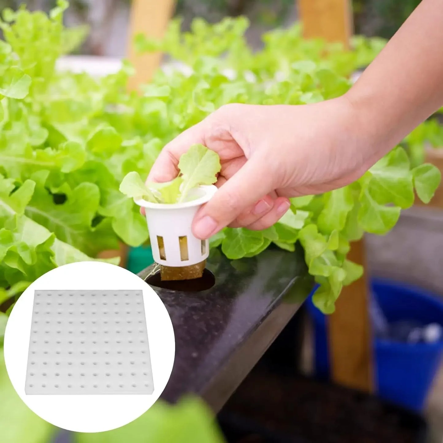 500/100PCS Hydroponic Plant Sponge Garden Cultivation Seedling Soilless Culture Planting Tools Vegetables Nursery Pots Trays