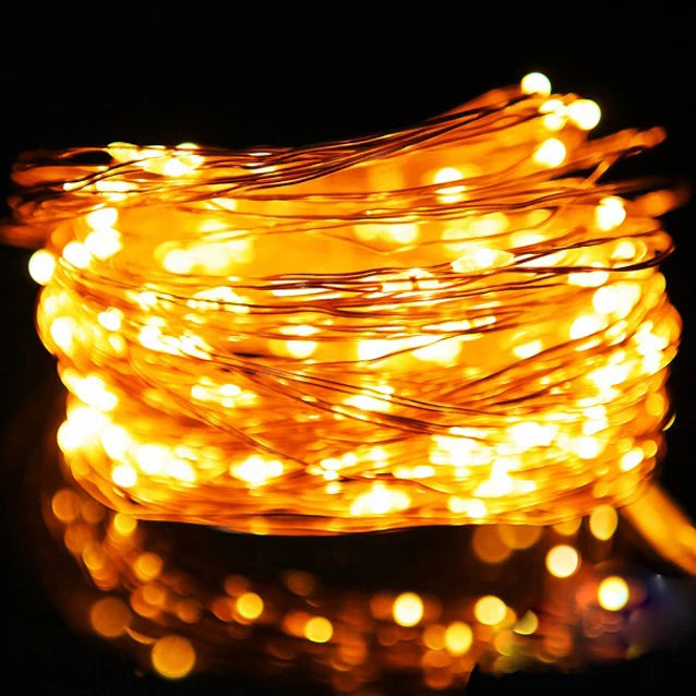 USB Copper Wire LED String Lights Waterproof Fairy Garland 2M/100LED