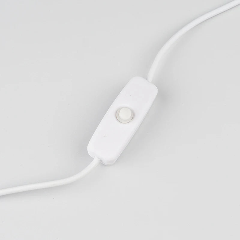 1M/1.5M USB Male To 2 Core Connection Cable 5V Switch Power Supply Wire 501 Button ON OFF 2A For LED Strip Lamp Bulb Light