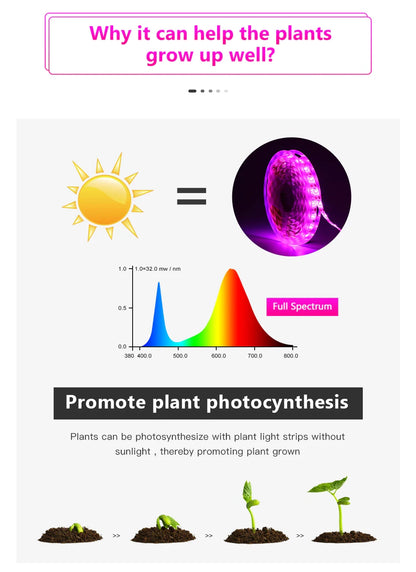 5V USB Led Plant Grow Light Full Spectrum Phyto Lamp 1m 2m 3m Strip For Seeds Flower Greenhouse Tent Hydroponic Plants Lighting