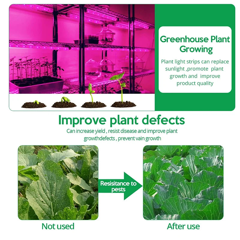 5V USB Led Plant Grow Light Full Spectrum Phyto Lamp 1m 2m 3m Strip For Seeds Flower Greenhouse Tent Hydroponic Plants Lighting