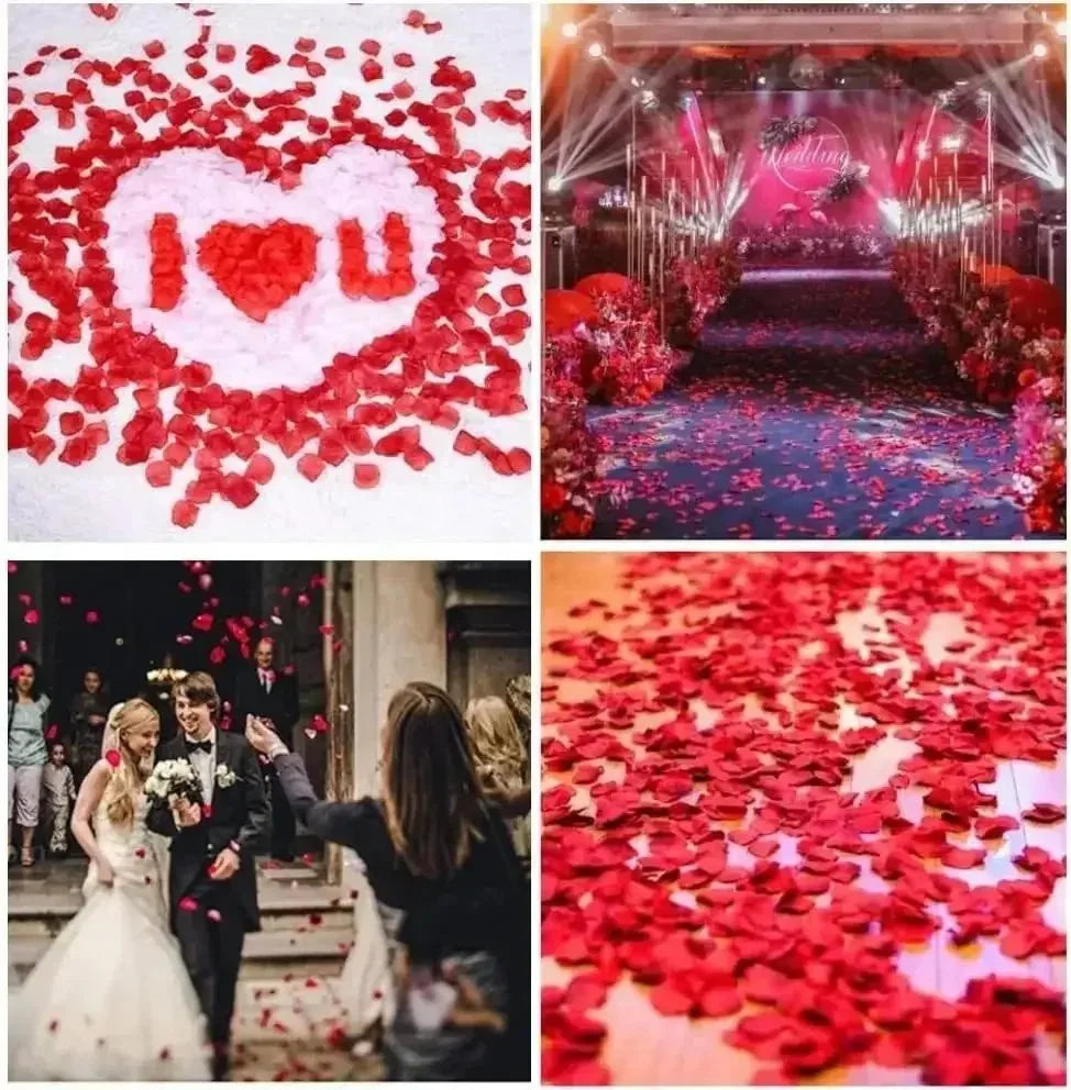 100PCS Artificial Silk Rose Petals for Wedding & Valentine Decoration