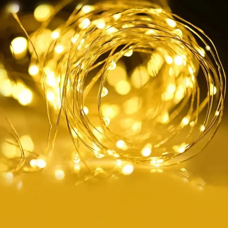 Christmas Party Wedding Decoration Remote Control Waterproof Battery Operated Fairy Lights 5/10/20/30 Meter Copper Wire String